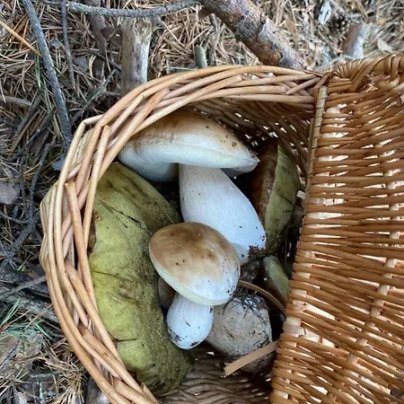 Mirador De Sallent - Piso Con Vistas Sallent de Gállego